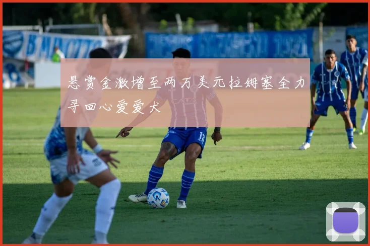 悬赏金激增至两万美元拉姆塞全力寻回心爱爱犬