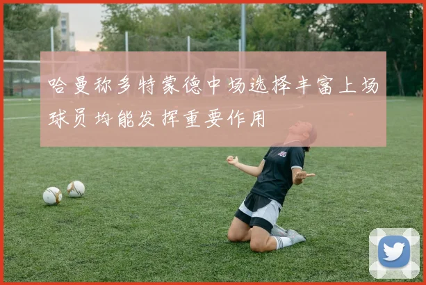哈曼称多特蒙德中场选择丰富上场球员均能发挥重要作用
