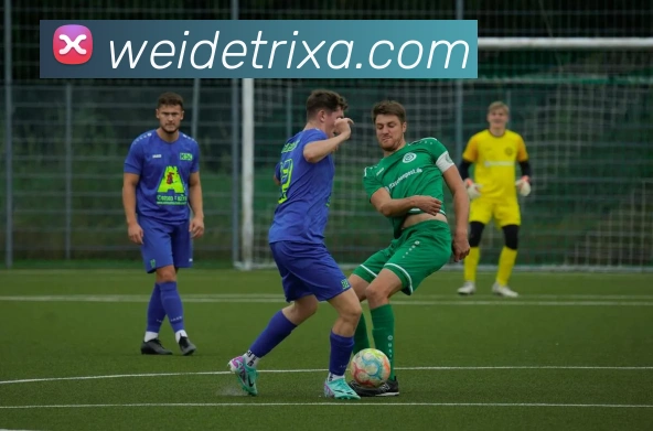 韦德体育平台生态图